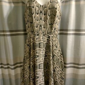 Express skater dress